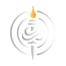 TTN News logo